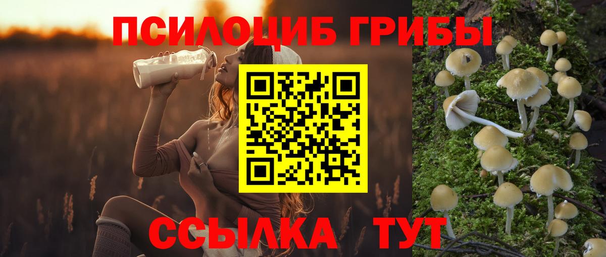Галлюциногенные грибы мицелий  Вход с VPN  Березники 